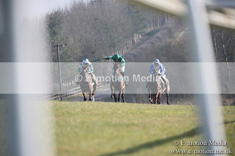 PtP 230219 342 - Vine & Craven Point-To-Point - Barbury 23/02/19