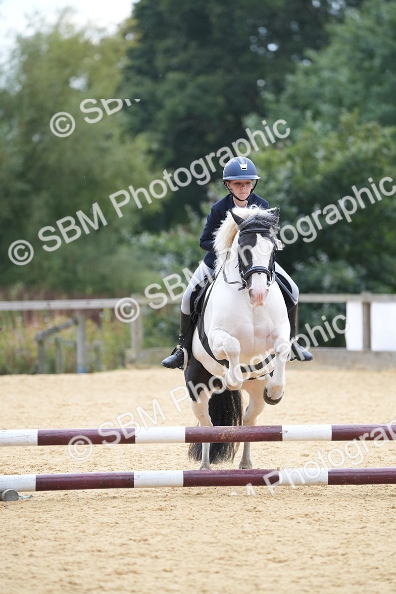 SBM_74804 - J4 - Mini Tour Junior Pony 45cm Championship