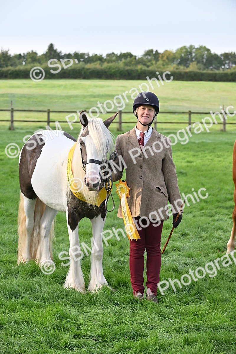 SBM_55374 - S44 - Youngstock In Hand