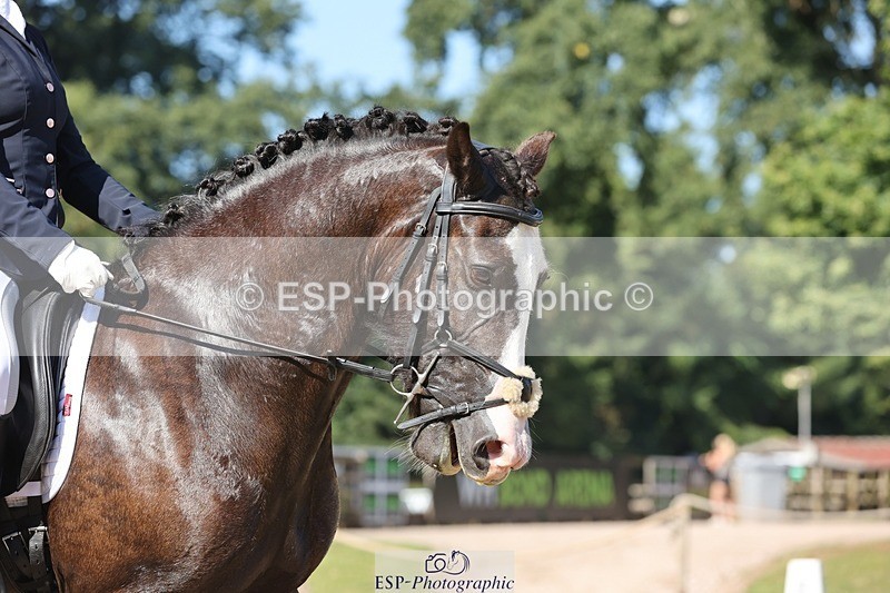 240719-094541-00248 - 262-Leia_Bower-Horeb_Llew