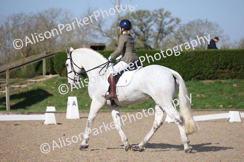 20250405-0225 - Class 11 - My Quest Novice 3