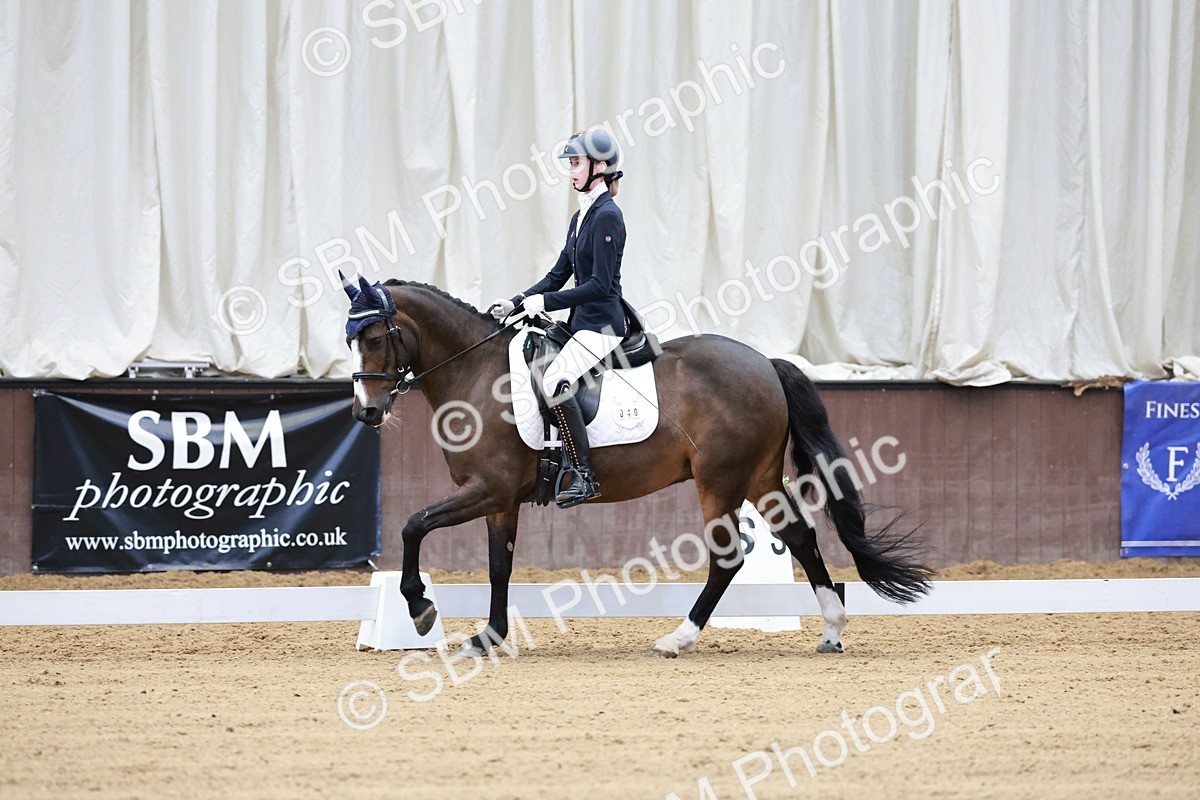 SBM_016809 - Class15 - FEI Pony