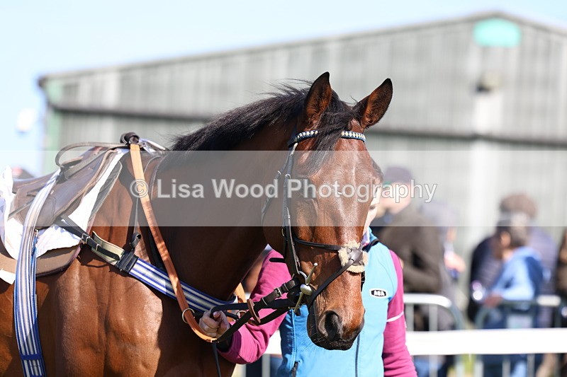 3E7A5588 - Race 6: Maiden (NWFAA)