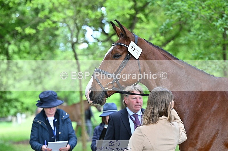 250521A-165512-01400 - C-272-Louisa.Lockwood-KILCANNON.OREO