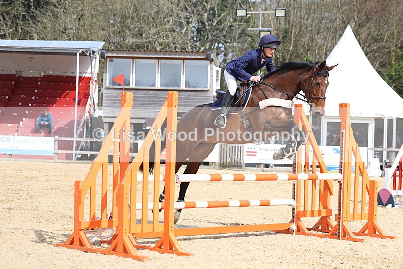 3E7A6744 - Class 4: Senior British Novice/90cm open