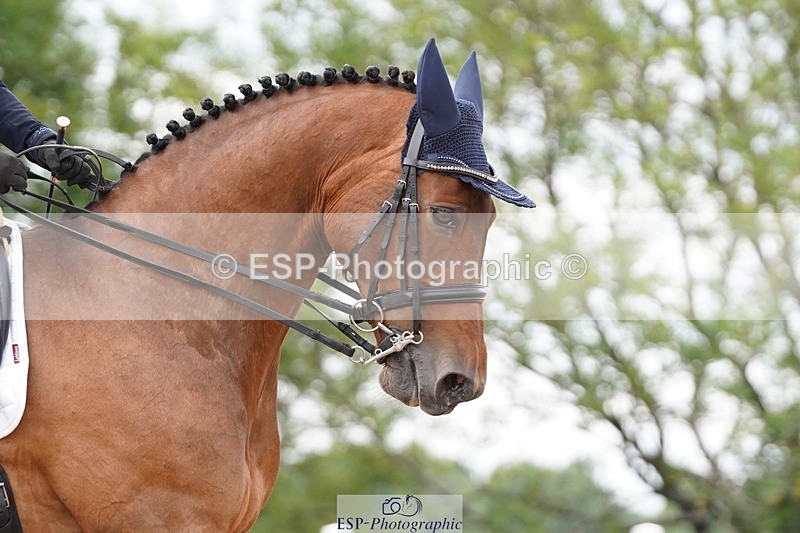 250622-163006-16588 - Cls 61 FEI Inter I Inc Presentations