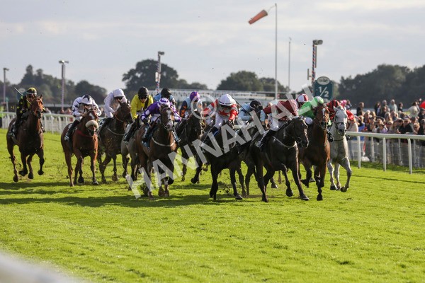 230923-Race 5-Vintage Clarets-5382 - Race 5 4.20pm Vickers.Bet Handicap