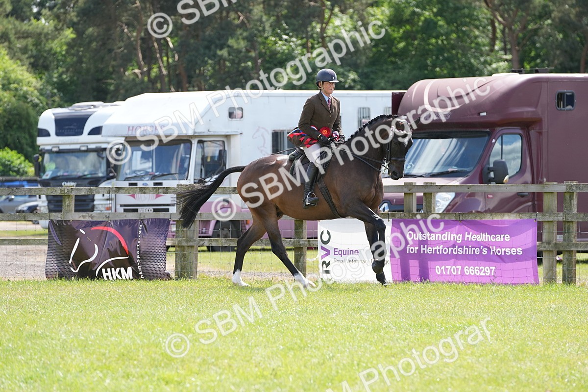 SBM_16314 - Class 105-106 - RIHS Riding Horses