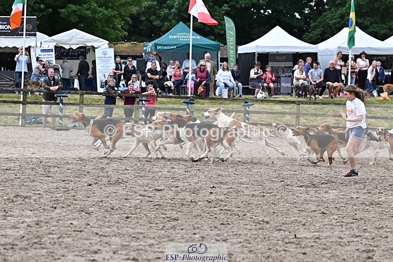 250524A-152735-12760 - East Devon Hounds