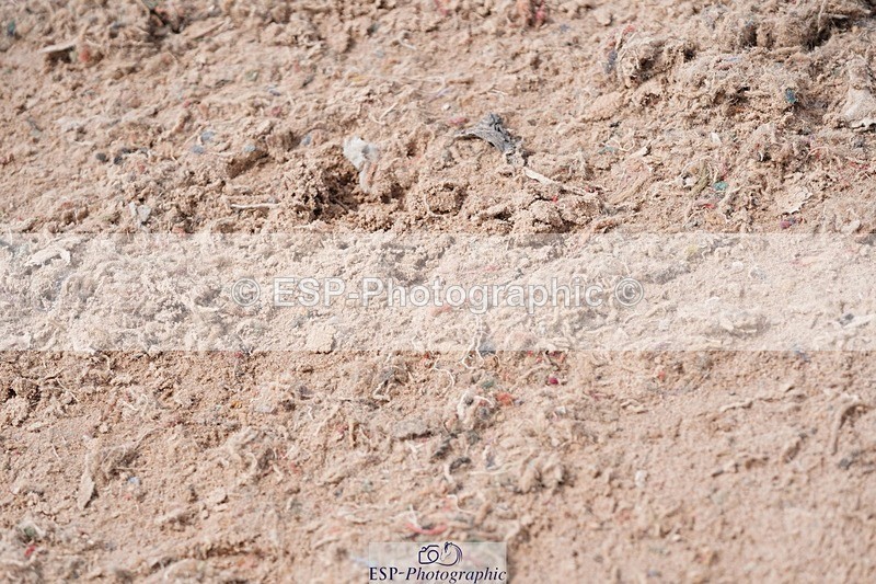 250511-143754-14321 - Cls 34 1.05m Amateur Quali