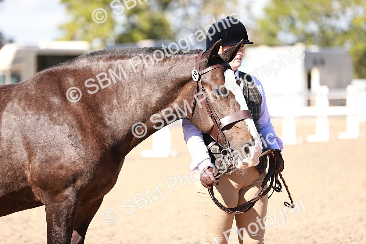 SBM_13226 - Class 405 - IH Show Cob