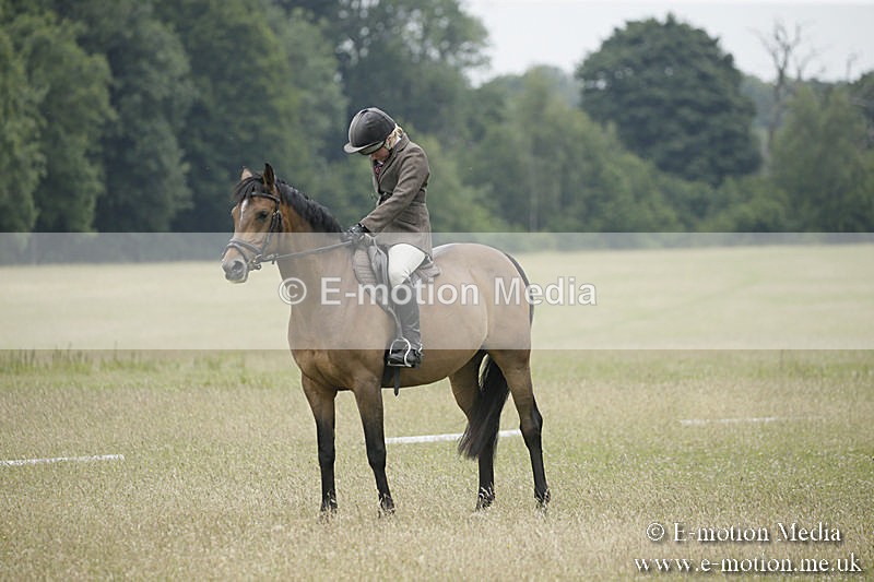 B230619-0628 - Bourne Valley Riding Club Summer Show 23/06/19