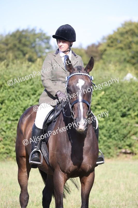 20260906-0381 - Class 14 - Ex Racehorse
