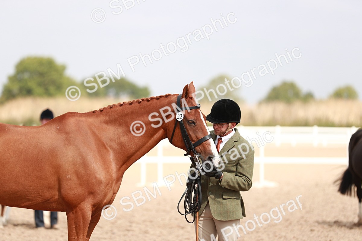 SBM_13251 - Class 208 IH Veteran Horse