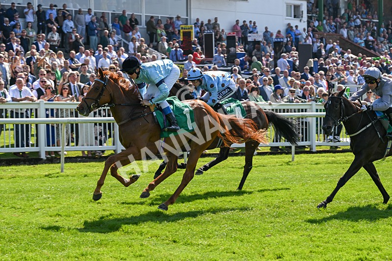 180524-Race 2-Bountiful-9264 - Race 2