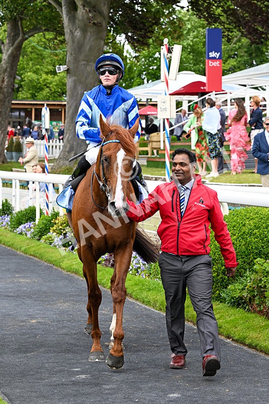 130626-Race 4-Thunder Call-1354 - Race 4 15.35pm Churchill Tyres Supporting Macmillan Sprint Handicap