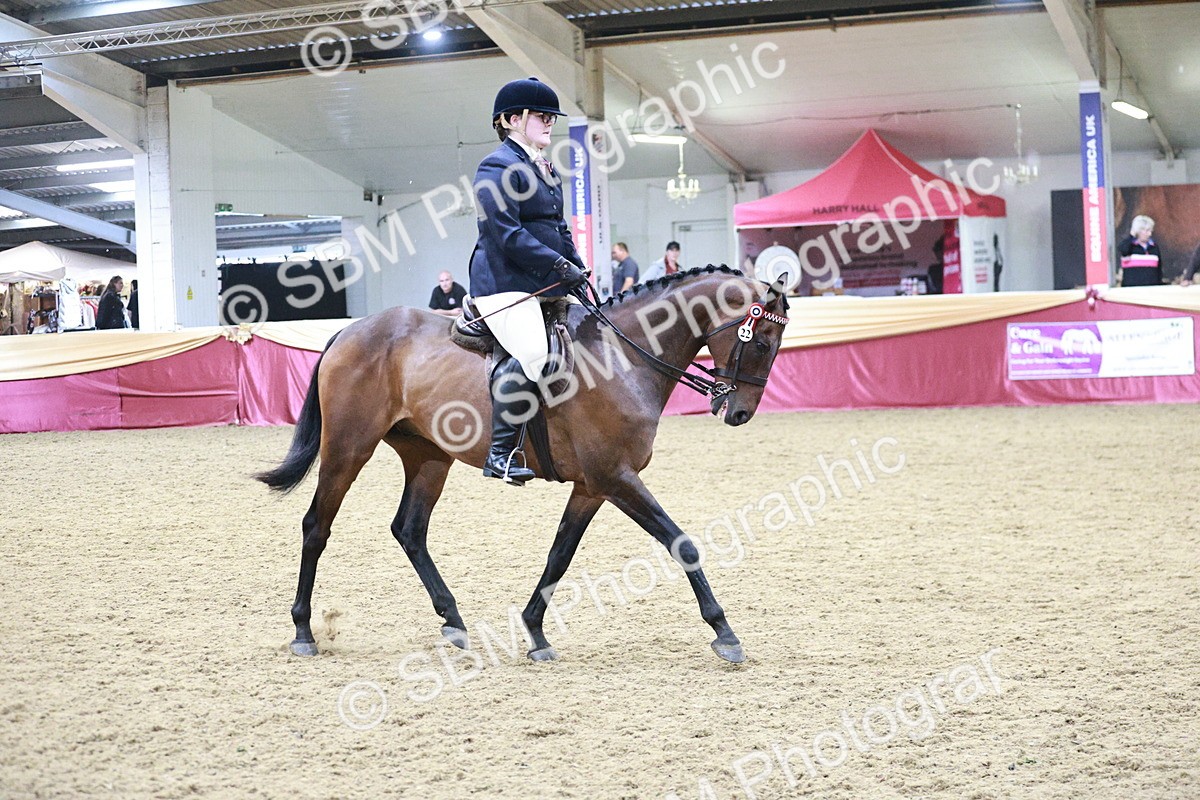 SBM_08156 - Class 11R - Regional Ridden Veteran