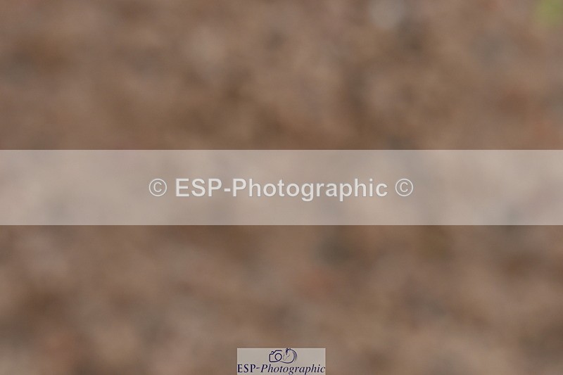 231104A-114726-00290 - Cls 7 Elementary 43