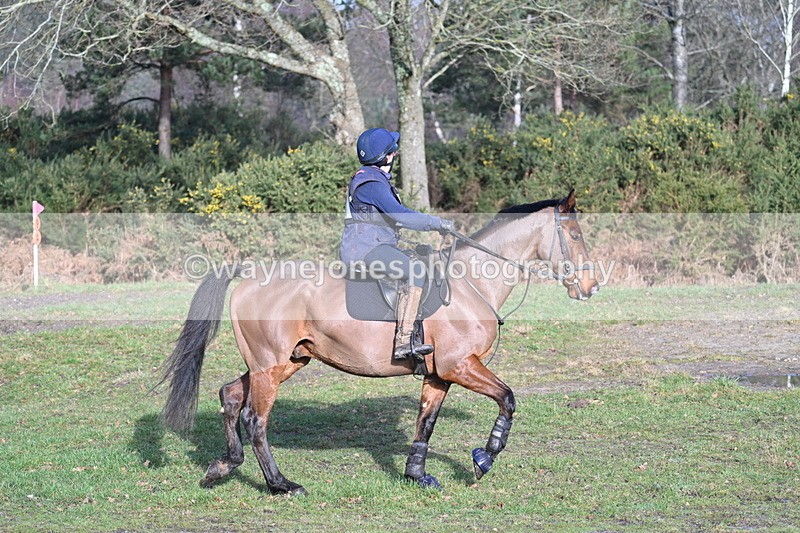 WJ7_6146 - Time 10:29 to 11:00