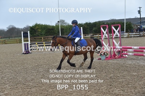 BPP_1055 - CLASS 1 Club/ Unaffiliated 60cms Open