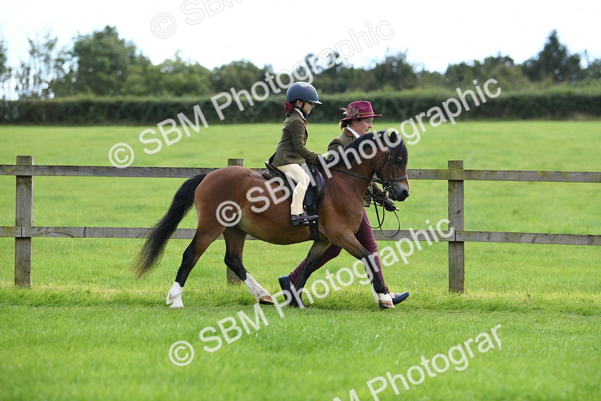 SBM_42431 - S20 - Lead Rein Mountain & Moorland Pony
