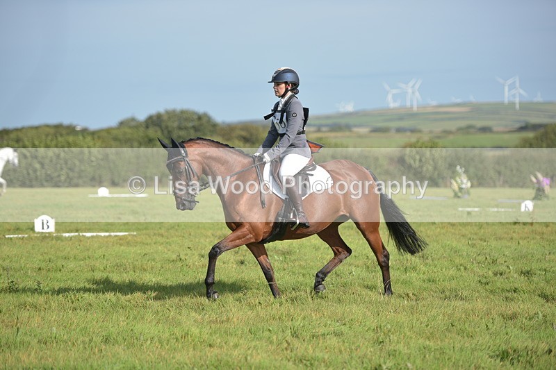 RAY_7537 - Class 2B: Trekenning Open: Dressage