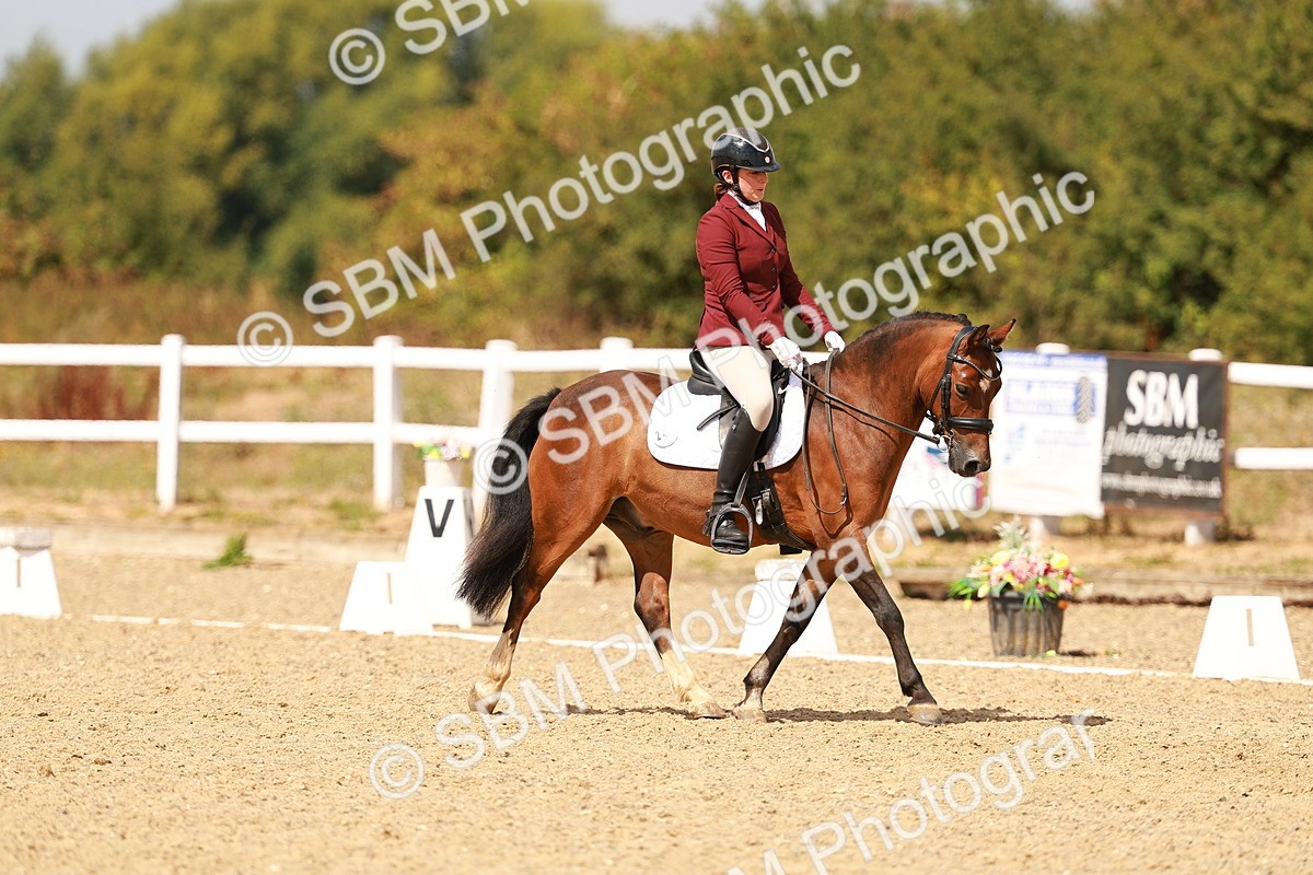 SBM_018641 - Class 9 - N5 Bronze 11.57.13.07
