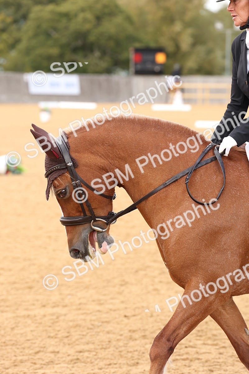 SBM_19516 - D10 - Small Tour Championship Prelim 2
