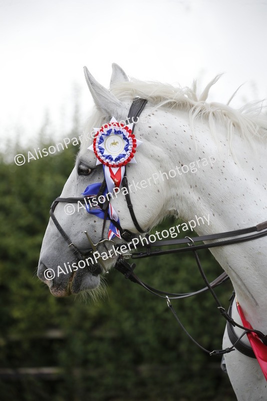 20250831-4502 - SUPREME CHAMPIONSHIP