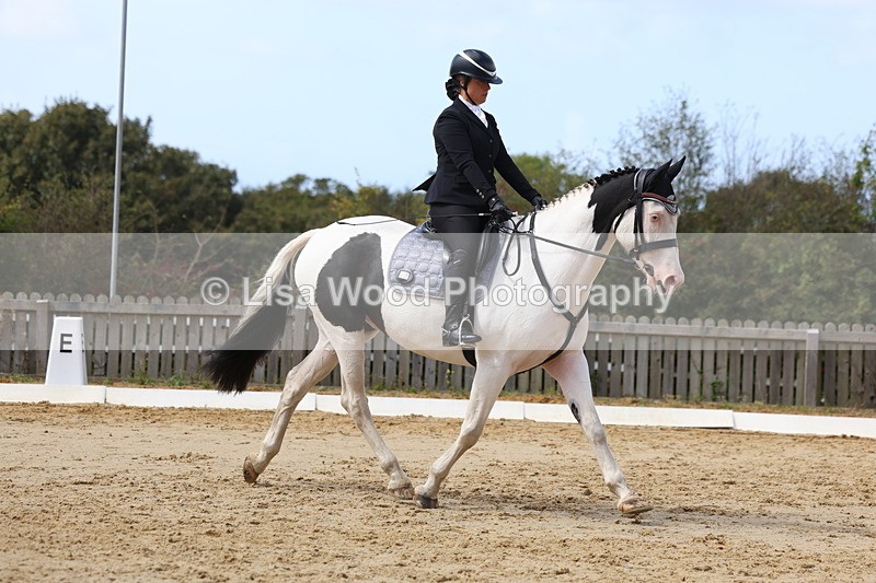 3E7A4059 - Class 9: Novice 6 Section B Championship