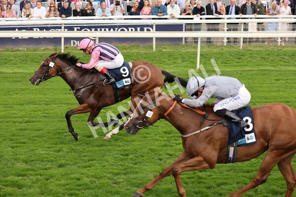 yr19082021r7-20 - Race 7 5.20pm British Stallion Studs EBF Fillies' Stakes