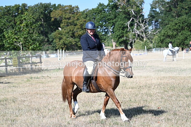WJ7_3504 - Class 9 Mountain & Moorland Ridden