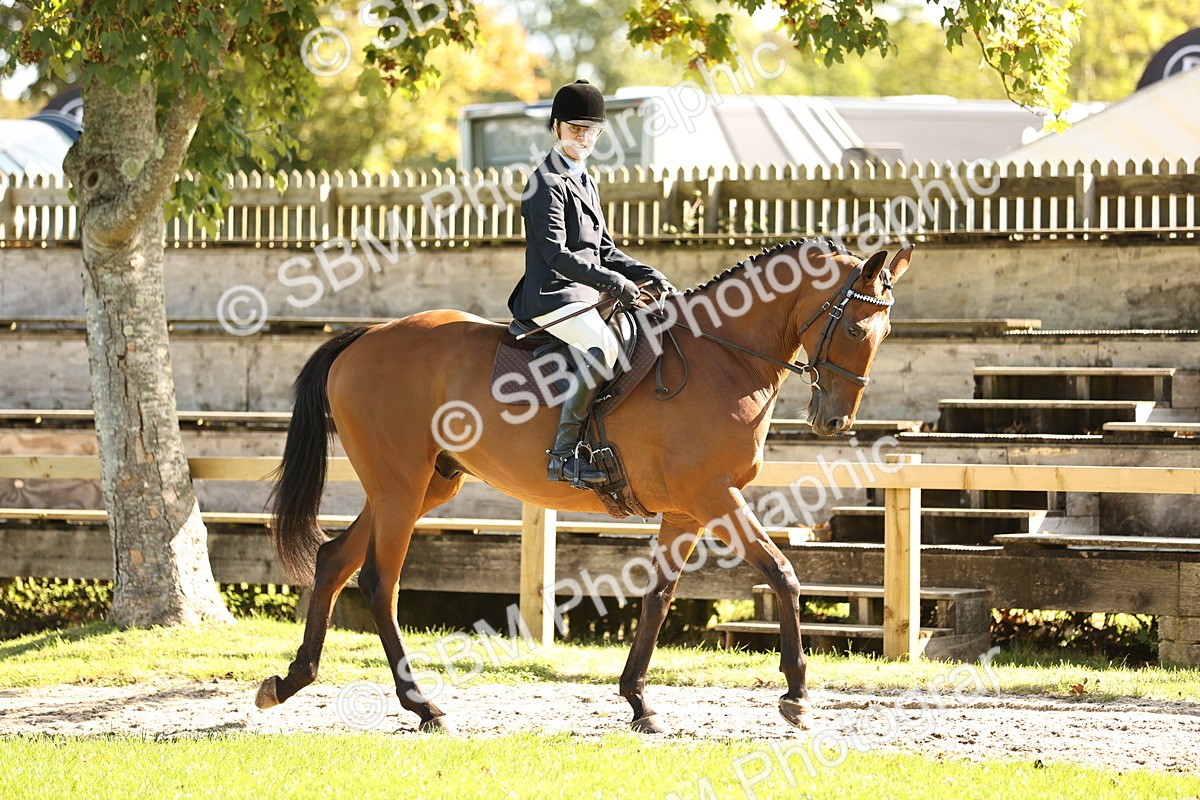 SBM_16991 - S2 - TSR Ridden Pony Showing