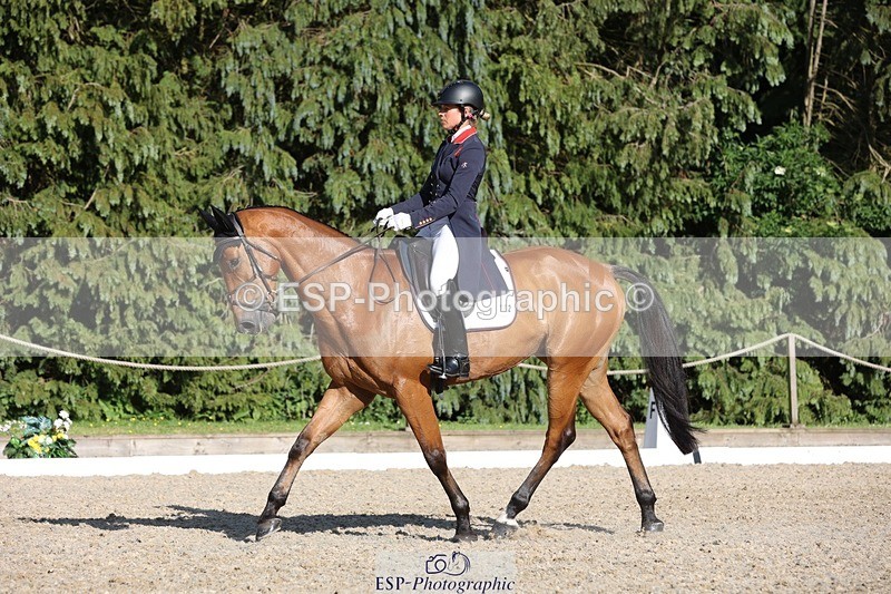 230526-175512-08061 - 182-HARTHILL_FLAMENCO-Izzy_Taylor-WEDTrotUp+DR