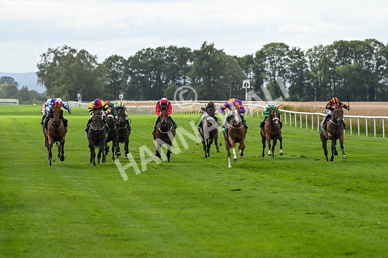 080825-Race 4-Equity Law-2315 - Race 4