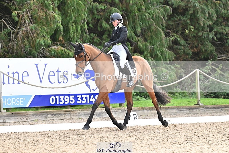 251023A-111717-01203 - C-227-Tarka.Abraham