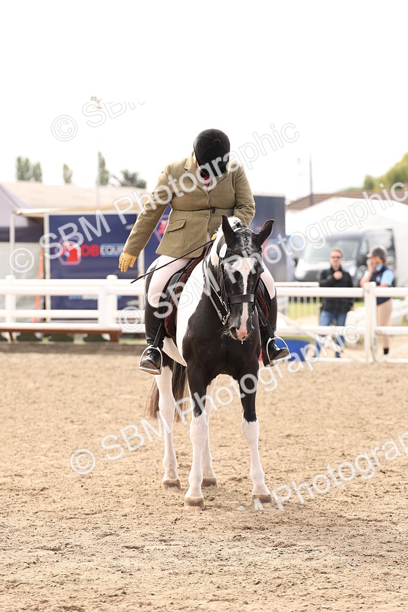 SBM_04287 - Class 54 - Riding Club Horse/Pony