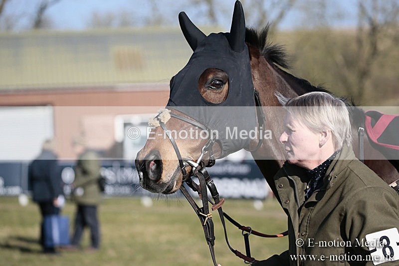 PtP 240218 426 - Vine & Craven Hunt Point-to-Point Barbury racecourse 24/02/18