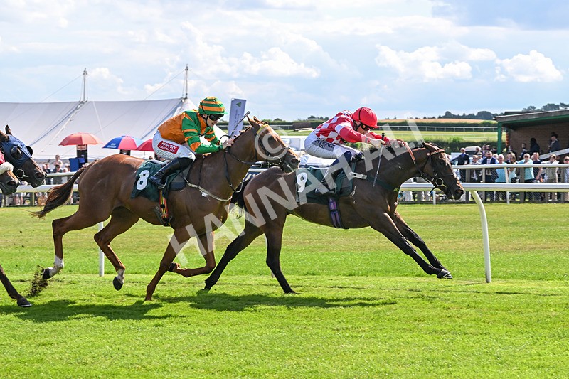 160725-Race 4-Lady Bouquet-9155 - Race 4