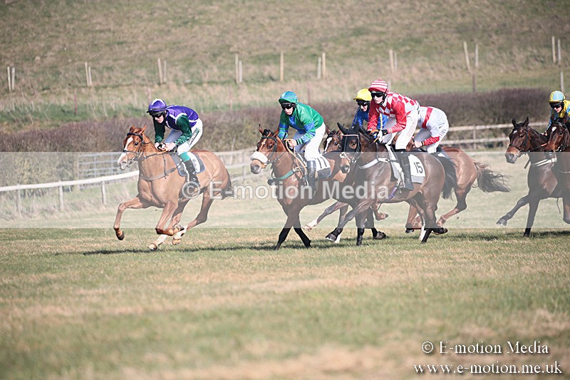 PtP 230219 214 - Vine & Craven Point-To-Point - Barbury 23/02/19
