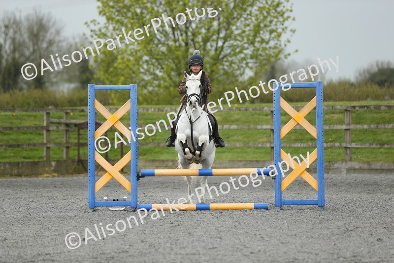 20260412-1870 - Show Jumping