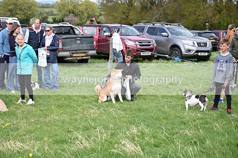 WJ6_8593 - Class 6 Best Rescue