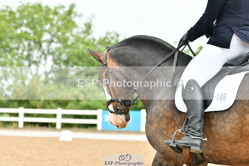 230630A-100755-00023 - Cls 6 Music Novice