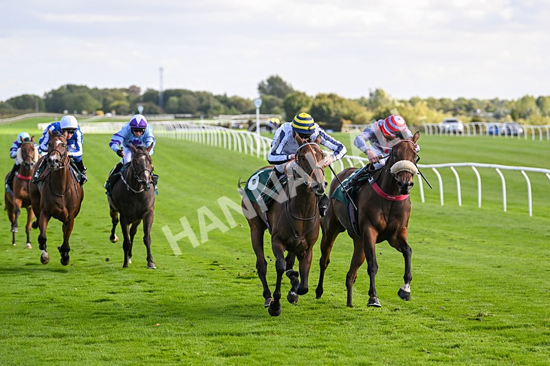 100924-Race 4-Scarboroughwarning-0345 - Race 4