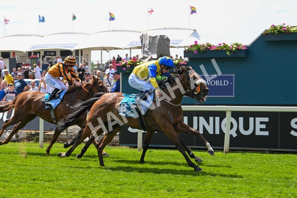 130625-Race 1-Feel The Need-8377 - Race 1 1.50pm Andy Thornton Hospitality Furniture Apprentice Handicap
