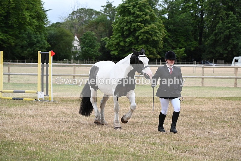WJ6_4364 - Class 10 Coloured In-hand