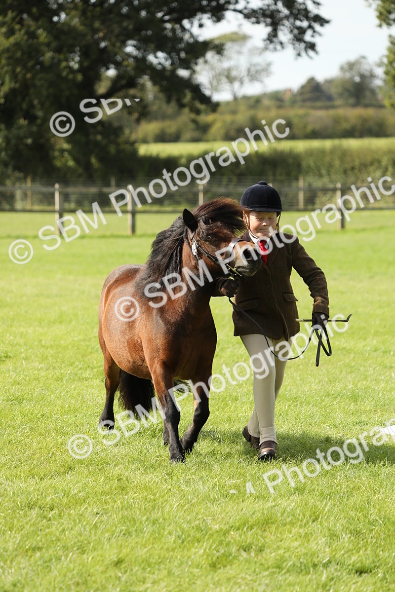 SBM_68617 - S40 - Junior Handler 9-12 Years