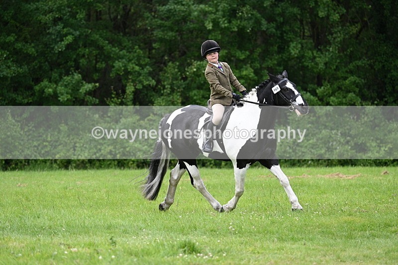 WJ7_2416 - Class 12A Coloured Class