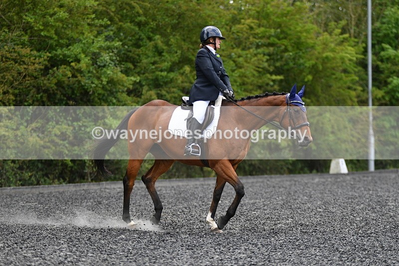 WJ5_0291 - Time 12:24 to 13:01