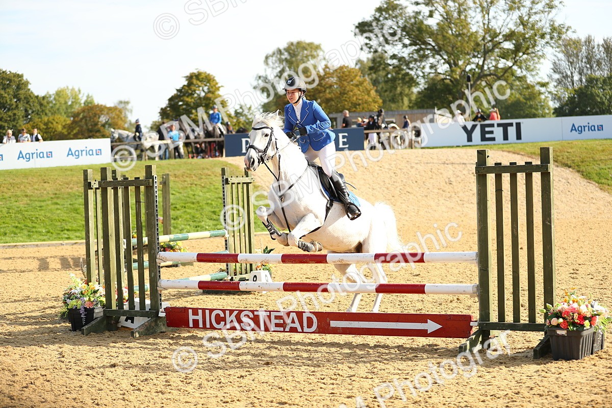 SBM_60325 - J41 - Grand Tour 95cm Championship